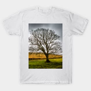 Single tree in stormy weather T-Shirt